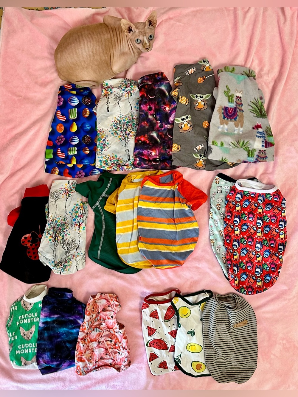 Sphynx Cat Clothing Lot - 18 pieces